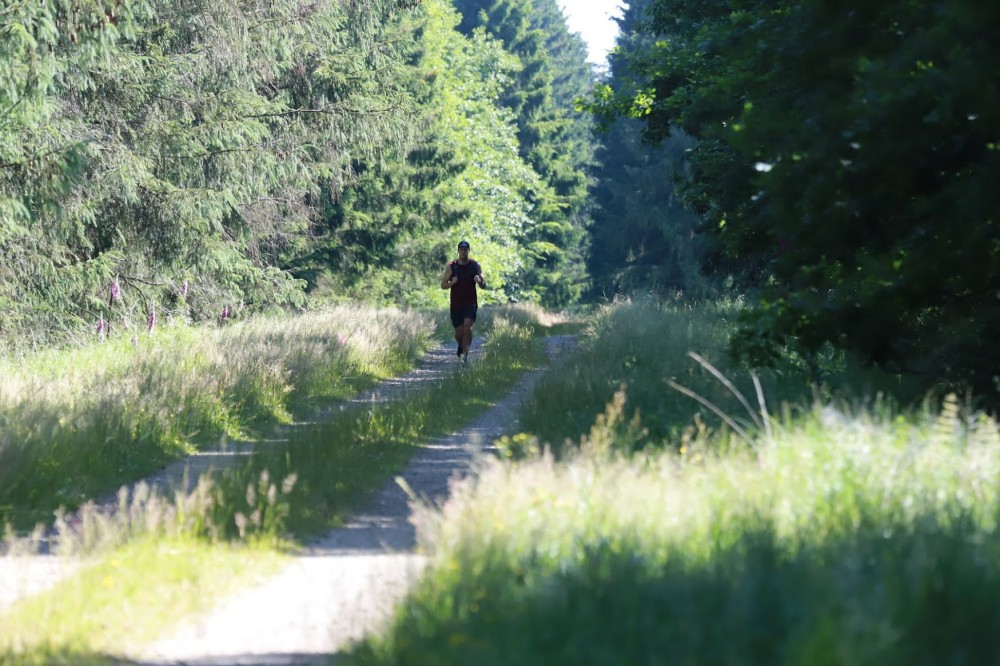 A thumbnail image