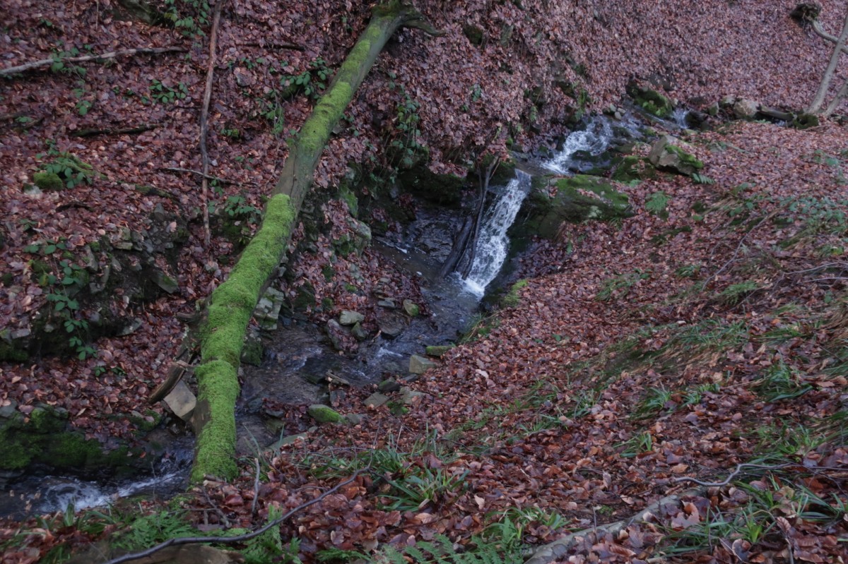 A thumbnail image