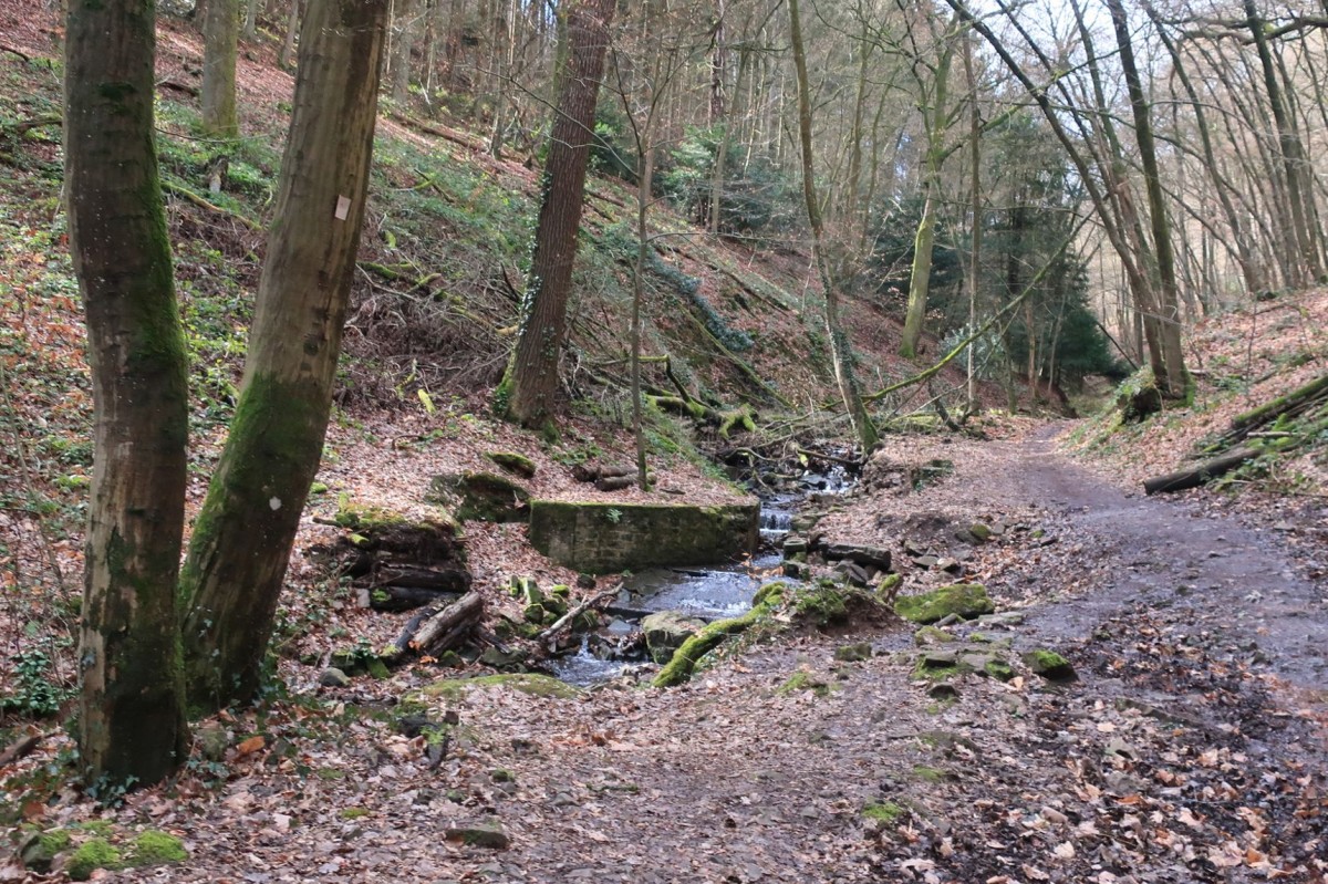 A thumbnail image