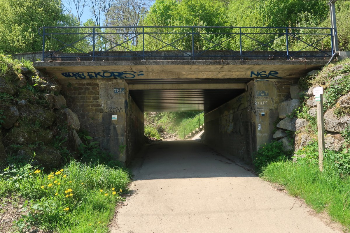A thumbnail image